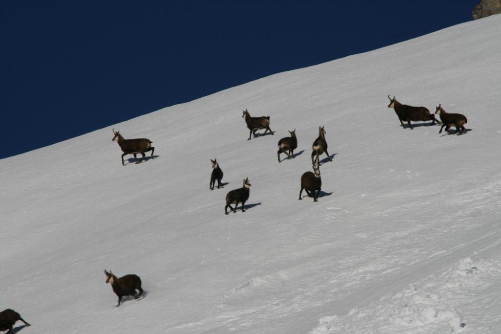 Landhaus Flunger Sankt Anton am Arlberg Dış mekan fotoğraf